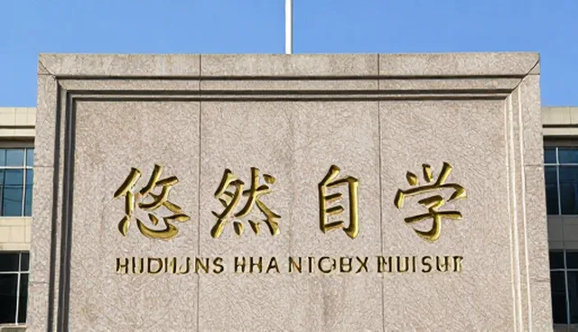 系统响应中的媒介投放处理方法与适用限制